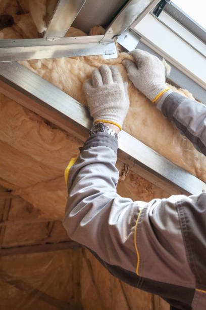 Best Attic Insulation Installation  in Lomira, WI