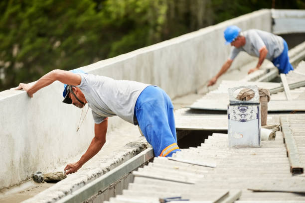 Best Insulation Removal  in Lomira, WI