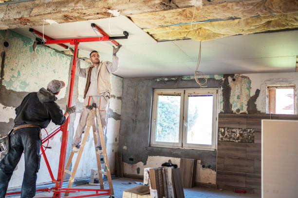 Best Wall Insulation Contractor  in Lomira, WI