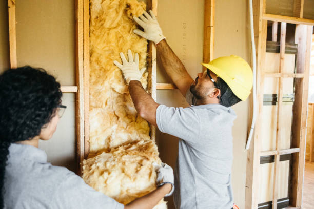 Best Attic Insulation Installation  in Lomira, WI