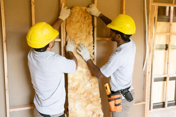 Best Professional Insulation Contractor  in Lomira, WI