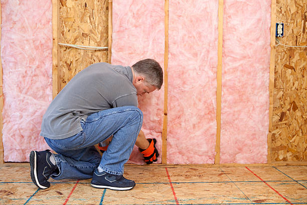 Best Insulation for New Construction  in Lomira, WI