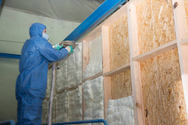 Best Soundproof Insulation Installation  in Lomira, WI