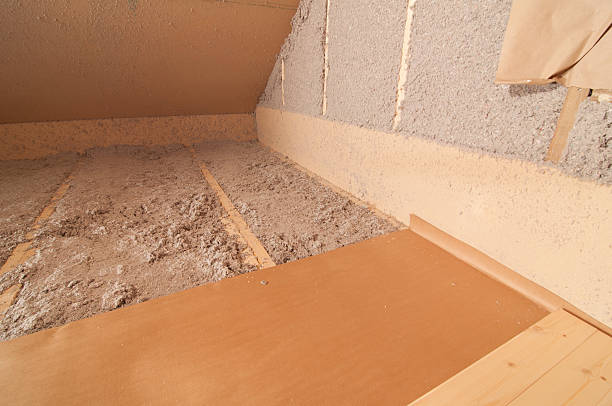Best Insulation Contractors for Homes  in Lomira, WI