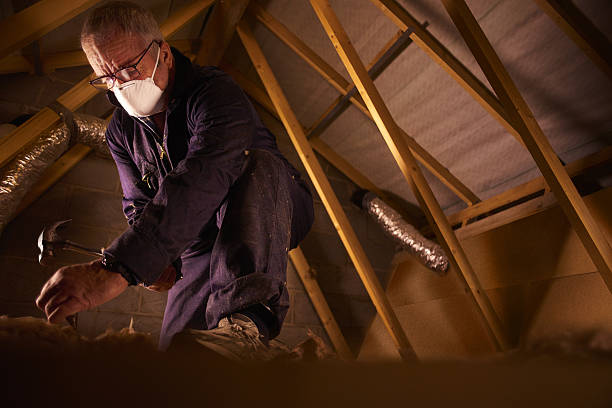 Insulation for New Construction in Lomira, WI